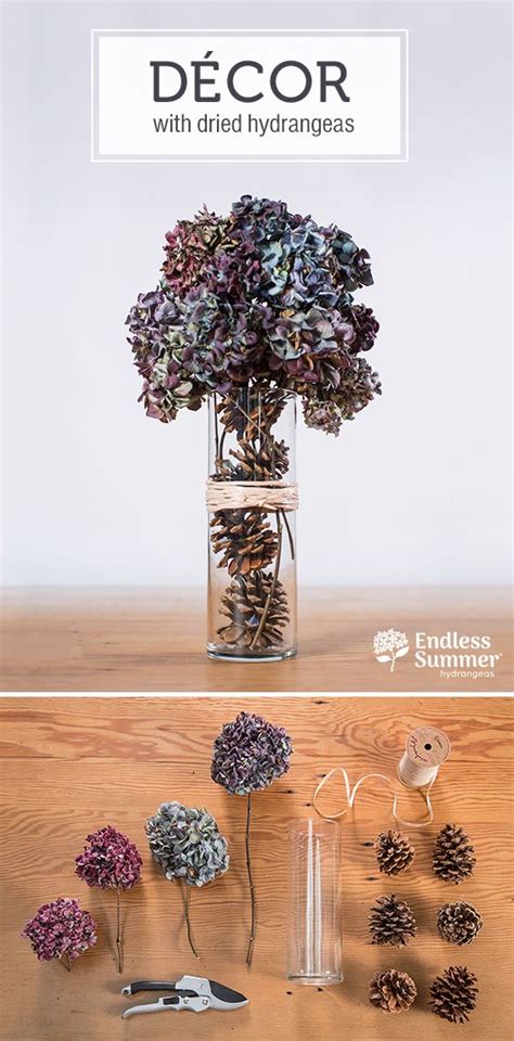 Flowers do it all the time! Bring the beauty of your hydrangeas indoors with dried ...