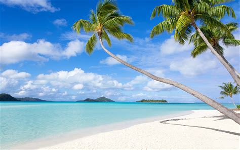 Download Wallpapers Tropical Islands Palm Trees Beach Ocean Blue