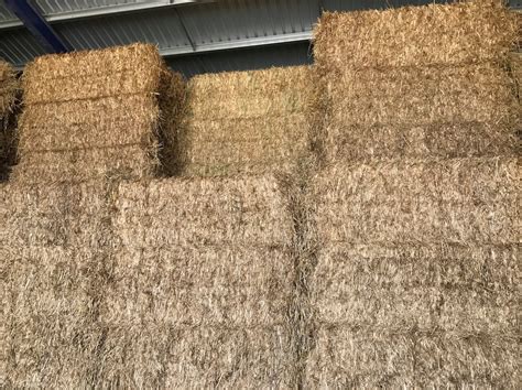 Oaten Hay 8x4x3 800 X 550 Kg Approx Bales And Shedded