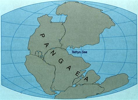Pangaea Looks Like A Big Place Geology Kids Rugs Pangaea