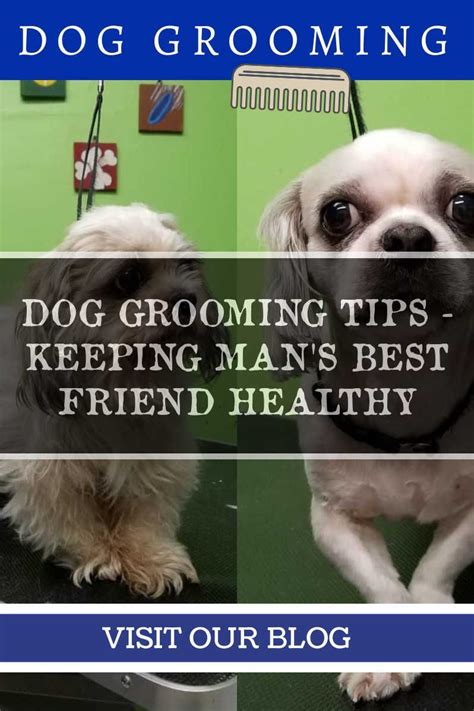 If the dog groomer puts extra effort into the dog grooming, give a tip. Dog Grooming Tips - How Often You Should Bathe a Dog ...