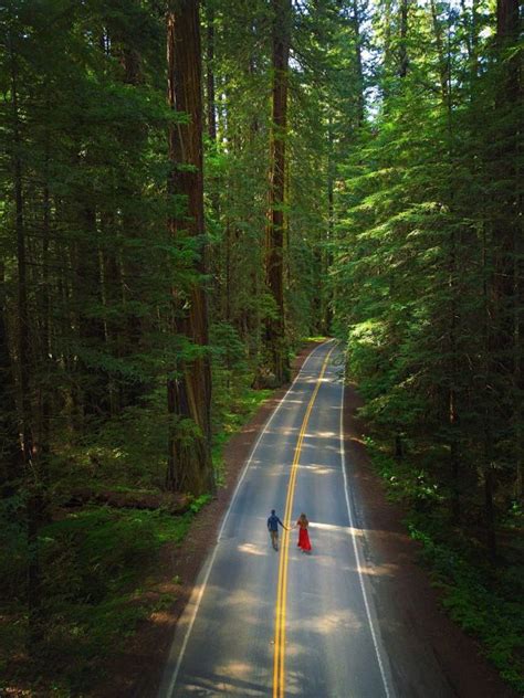 The Perfect Northern California Road Trip Itinerary California Travel