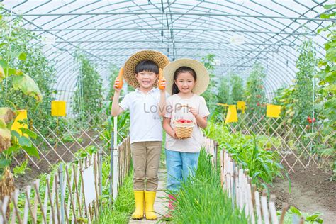 Little Boy And Girl Playing On The Farm Picture And Hd Photos Free