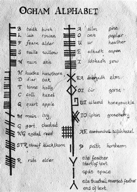 Ogham Alphabet Trees Version After Doing Some Research I Found That