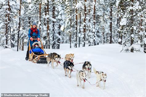 Visiting Igloos And Taking Husky Rides In Lapland Should Be Stopped