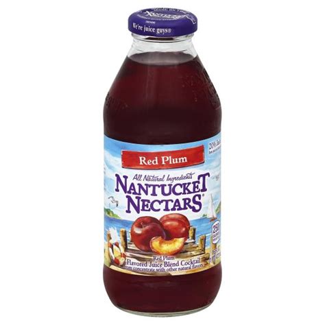 Nantucket Nectars Juice Blend Cocktail, Red Plum : Publix.com