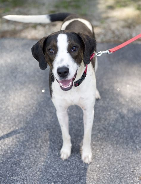 Eva | JoCo Report