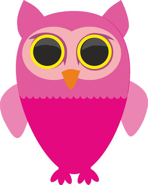 Pink Owl Clipart Free Download Transparent Png Creazilla