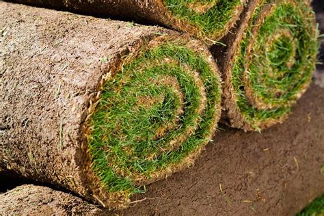 Preparing Ground For A New Lawn Bbc Gardeners World Magazine