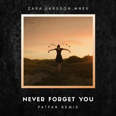 I'll never forget you you'll always be by my side from the day that i met you i knew that i would love you till the day i die and i will never want much more and in my heart i will always be sure i will. AfterLife - Zara Larsson, MNEK - Never Forget You (Patfan ...