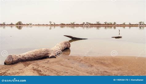 Peaceful African Landscape Near Sine Saloum Senegal Stock Photo