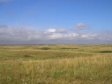 The Pampas and Prairies