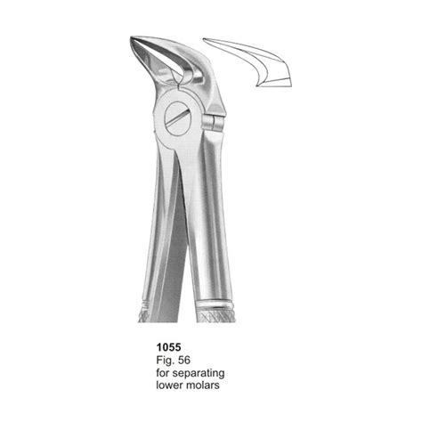 Fig 65r Upper Molars Right Dental Extraction Forcep Charisma Tech