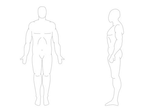 human body outline front back and side