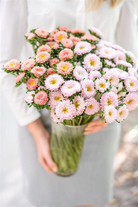 Beautiful Aster Flower Bouquet Stock Photo Image Of Composition