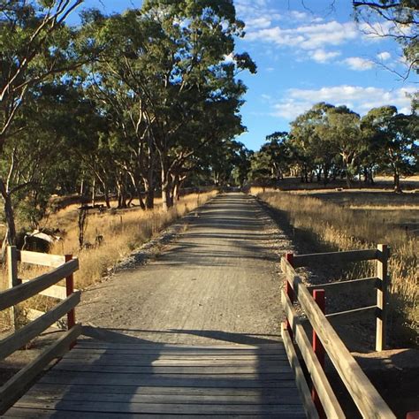 Clare Valley South Australia Sidewalk Scenes Beautiful Side