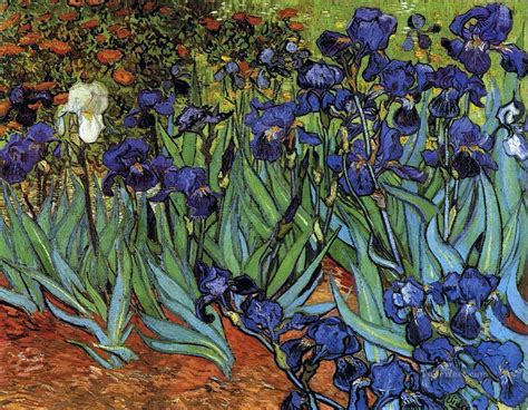 Irises Vincent Van Gogh Impressionism Flowers Painting In Oil For Sale