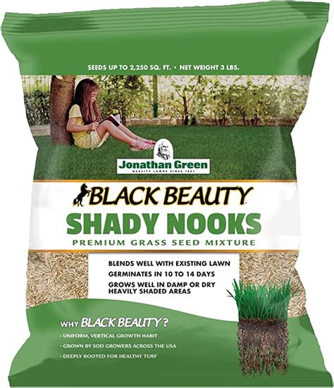 Jonathan Shady Nooks Grass Seed Lb Amazon Ca Patio Lawn Garden