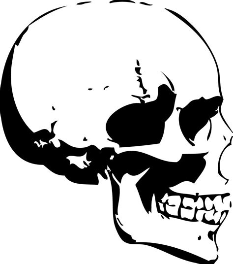 Art Basics Skull Art Skull Stencil