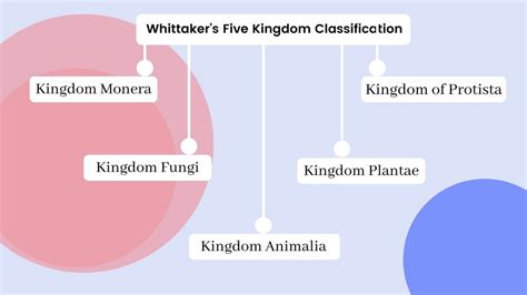 Whittakers Five Kingdom Classification Criteria Advantages And