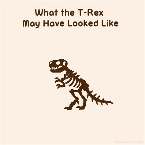 pusheen rex