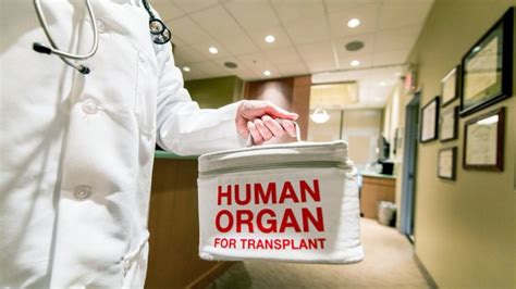 Organ Donation Views Sought On New Approach Bbc News