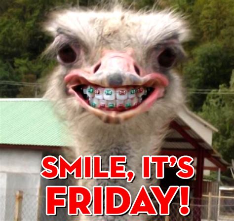 Smile Its Friday Funny Friday Memes Friday Humor Fun Fact Friday