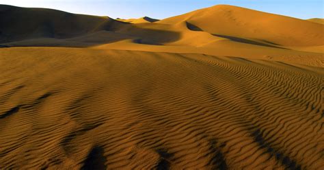 An Ecological Consultant Treks Through The Gobi Desert