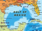 THE GULF OF MEXICO