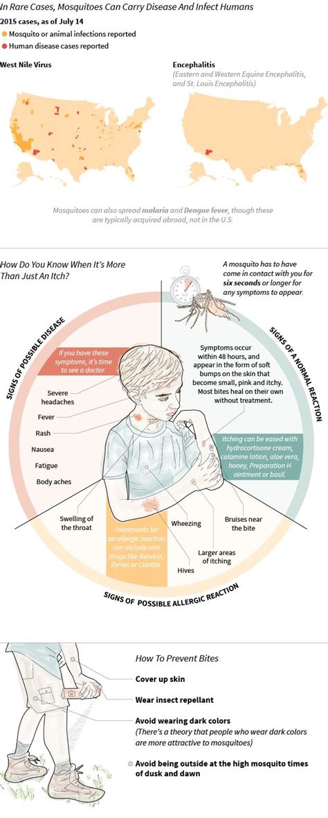 This Is What Happens To Your Body When You Get A Mosquito Bite