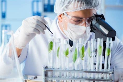 Universities In Australia For Phd In Biotechnology