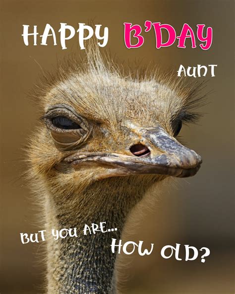Free Funny Happy Birthday Image For Aunt With Ostrich
