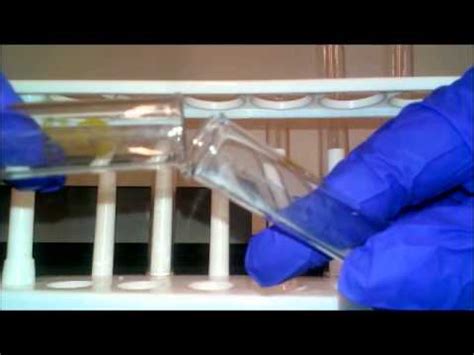 Hydrochloric acid and ammonia sol ution. Reaction of Ammonia and Hydrochloric Acid - YouTube