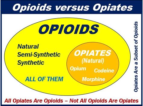 Opiates Vs Opioids Market Business News