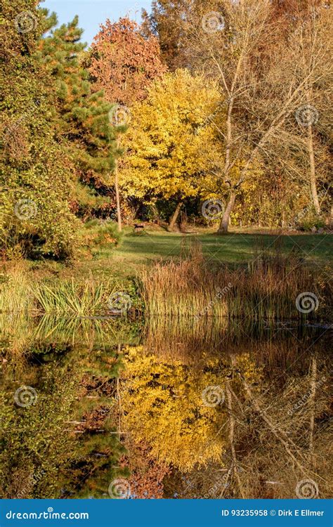 Autumn Landscape And Pond Stock Photo Image Of Tree 93235958
