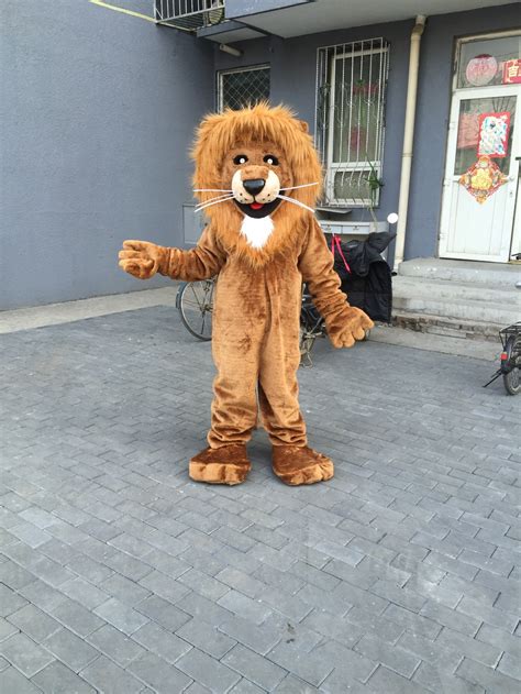 lion dress up outfit