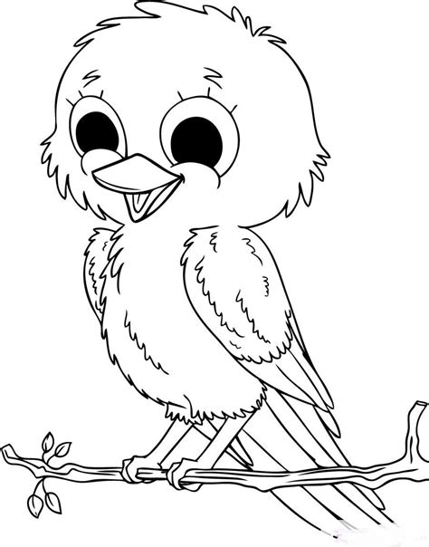 Cute Baby Birds Coloring Pages To Printables