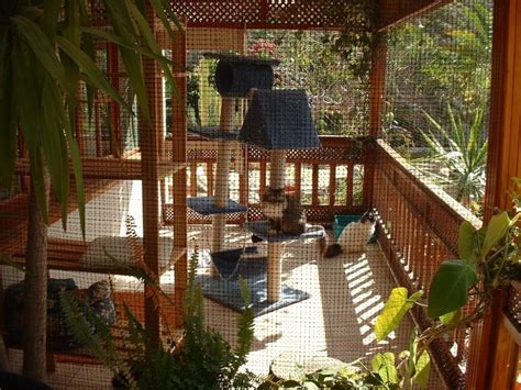 How To Keep Your Cat Indoors And Happy Cat Patio Outdoor Cat