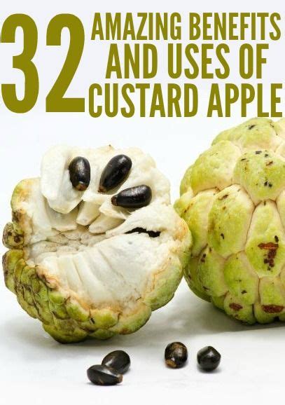 How To Grow Custard Apple Growing Your Own Custard Apple