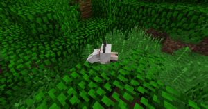 One cat spawns for every four valid beds, with a maximum of 10 cats. Wolf - Official Minecraft Wiki