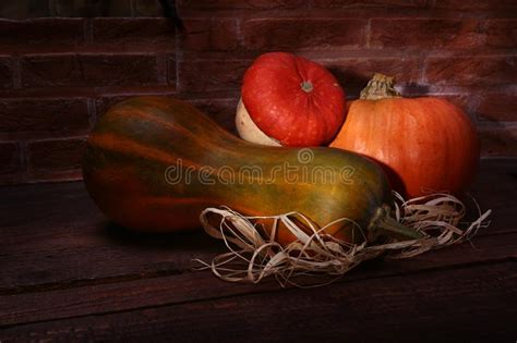 Autumn Pumpkin Background Of Thanksgiving Assorted Pumpkins On A