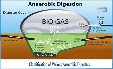 Anaerobic Digester Diagram