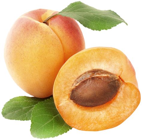 Apricots Png Clipart Best Web Clipart