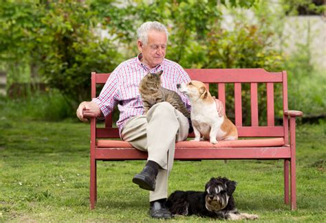 Senior Pets Need Homes Too