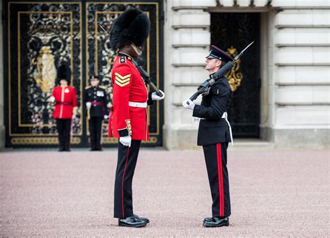 3 Reg Royal guard duty honour | The Royal Logistic Corps