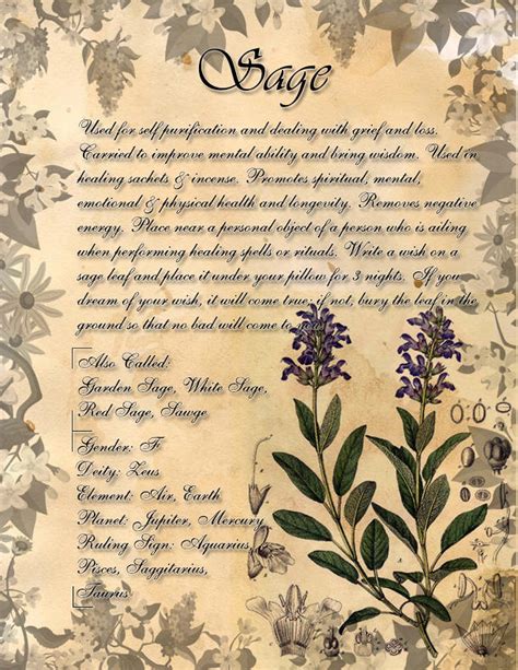 Book Of Shadows Herb Grimoire Sage By Conigma On Deviantart