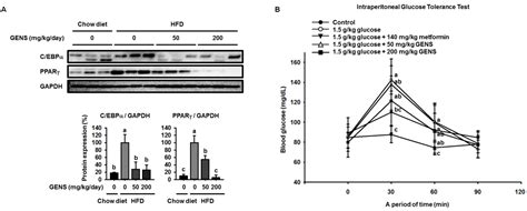 Nutrients | An Open Access Human Nutrition Journal from MDPI