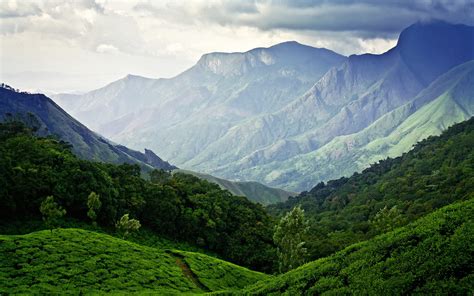 Hd Wallpaper Munnar India Tea Plantations Mountain Sky