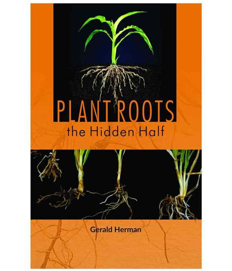 Plant Roots The Hidden Half Buy Plant Roots The Hidden Half Online At