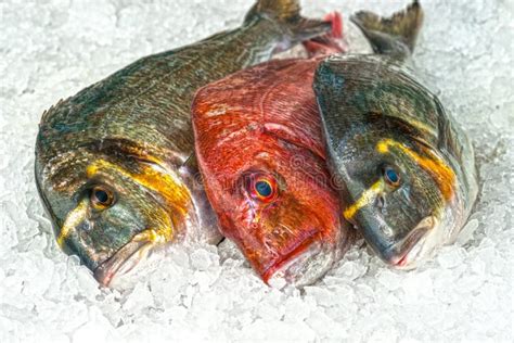Fresh Fish On Ice At The Fish Market Royalty Free Stock Photography
